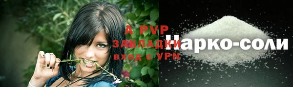 твердый Волоколамск