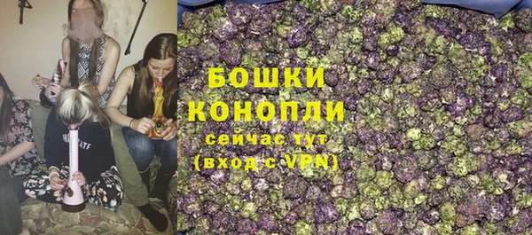 прущие грибы Володарск